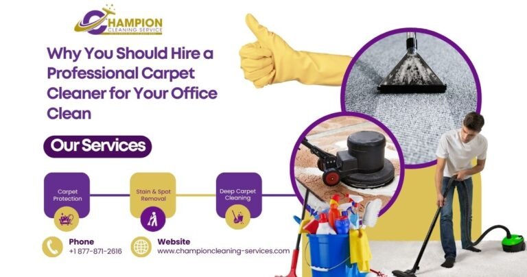 Professional Carpet Cleaner